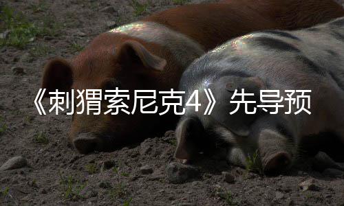 先导袭来尼克空降预告重磅新角色猬索强势刺