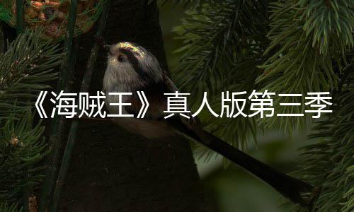 人版宣 海贼王真战巴斯坦之季官聚焦阿拉第三