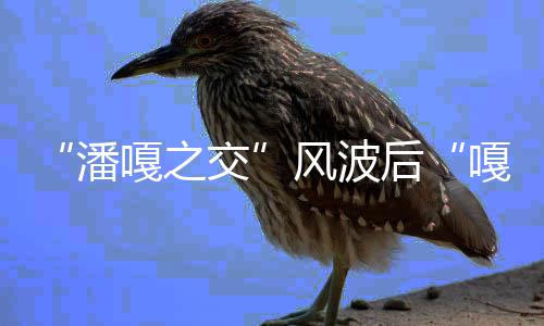 孟伟谢后直播再被交嘎之嘎子潘带货风波封
