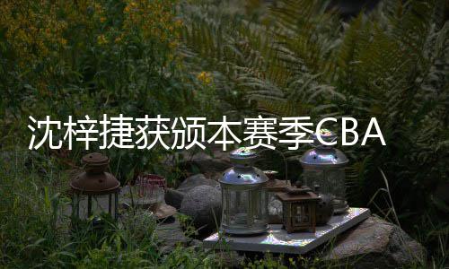 员沈梓赛季赛年守球颁本捷获佳防A联度最