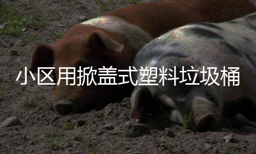 小区用掀塑料桶垃圾盖式