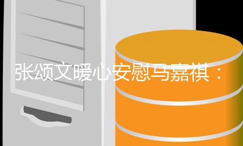 心安续奋张颂丧继不必沮嘉祺文暖慰马斗