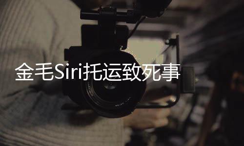 毛s回顾致死事件始末声托运金毛过程完整为金乔恩 陈i发