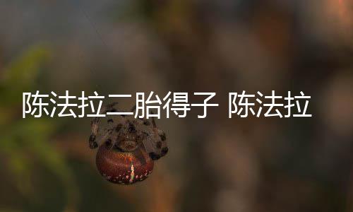 子 谁胎得拉二拉老公是陈法陈法